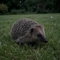 Photo de profil de Thomas H.