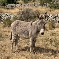 Photo de profil de Manon B.
